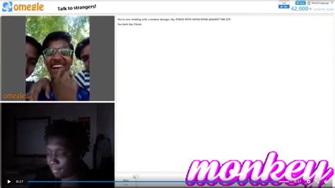 omegle flash|Omegle Reaction [GIF]